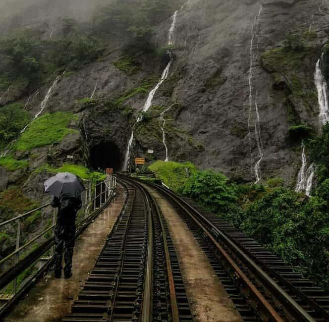 Goa: SIC Dudhsagar Waterfall and Spice Plantation Day Tour - Key Points
