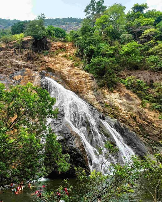 Goa: SIC Dudhsagar Waterfall and Spice Plantation Day Tour - Exploring the Itinerary and Experiences