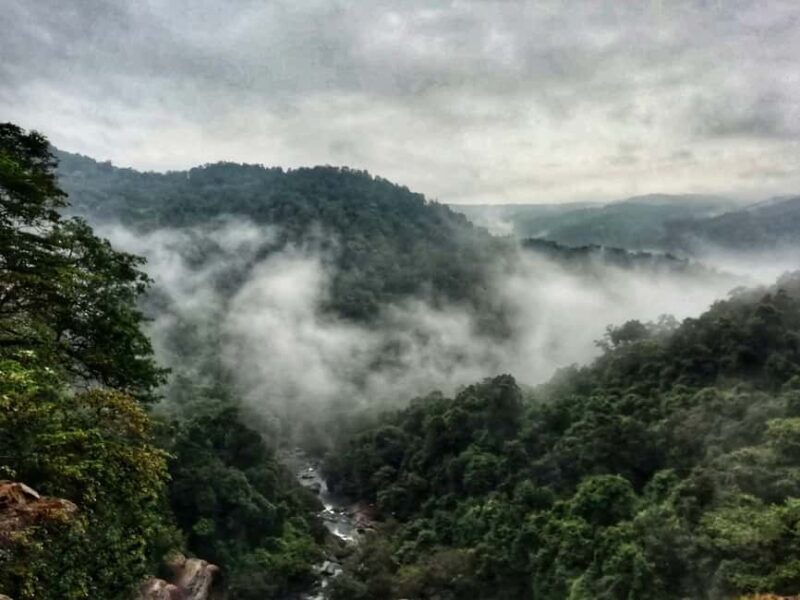 Goa: SIC Dudhsagar Waterfall and Spice Plantation Day Tour - Authentic Insights from Reviews