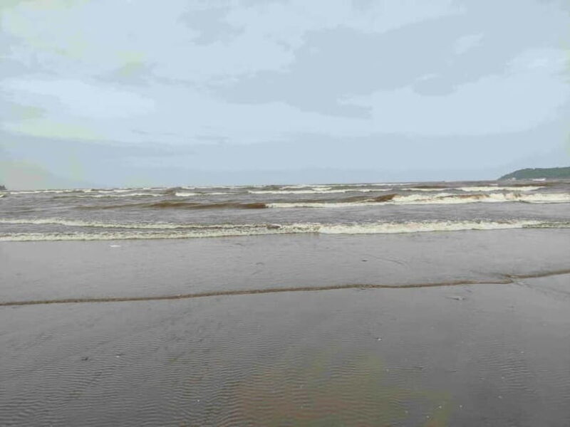 Goa: SIC South Goa Sightseeing Tour - Transport, Price, and Value Considerations