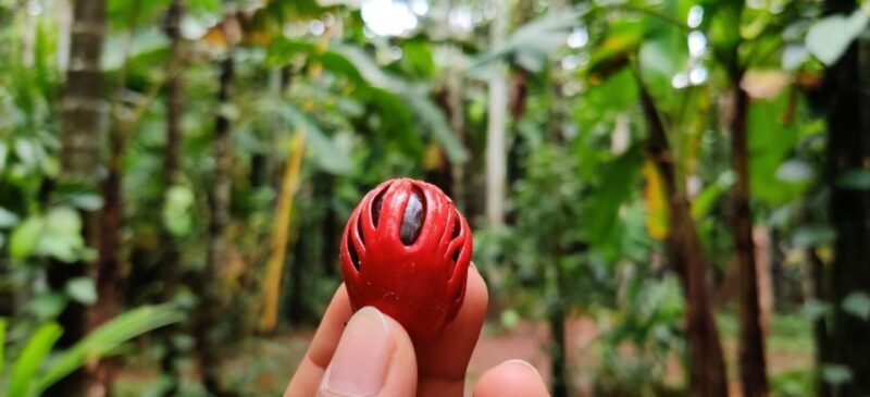 Goa: Spice Plantation Tour and Traditional Local Lunch - The Value of the Experience