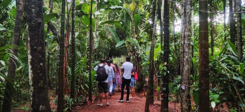 Goa: Spice Plantation Tour and Traditional Local Lunch - FAQ