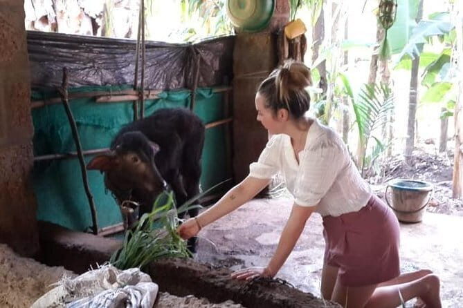 Goan Village Life Tour - The Sum Up