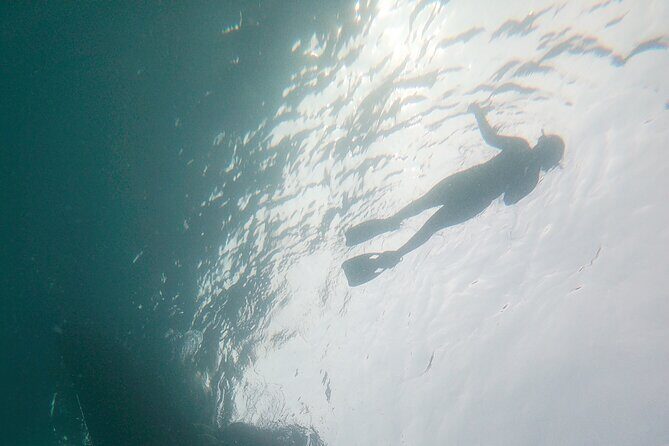 Goat Island Experience Guided Boat Snorkel Tour - An In-Depth Look at the Goat Island Snorkel Tour