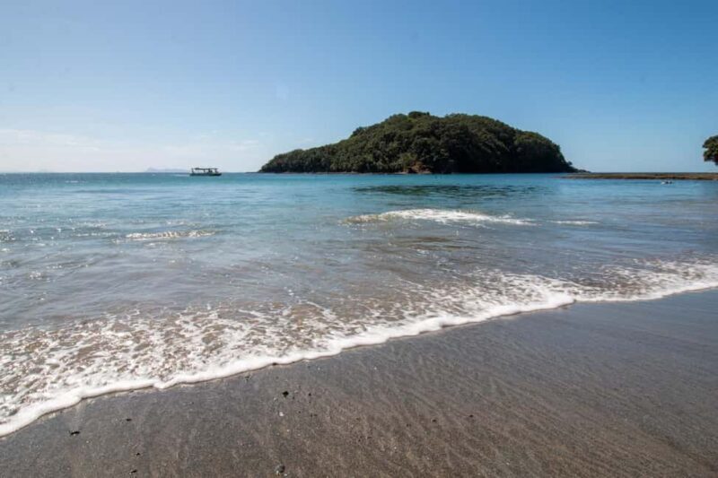 Goat Island: Glass Bottom Boat Tour - Key Points