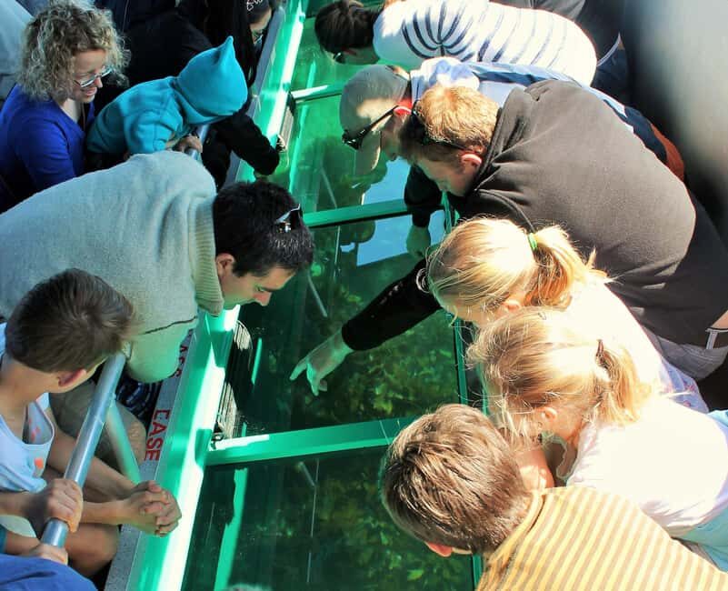Goat Island: Glass Bottom Boat Tour - How the Trip Feels: The Real-World Perspective