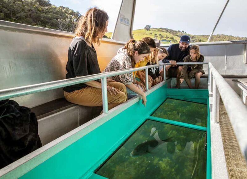 Goat Island: Glass Bottom Boat Tour - The Sum Up: Is the Goat Island Glass Bottom Boat Tour Worth It?
