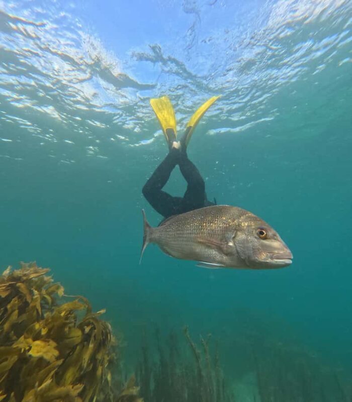 Goat Island Guided Snorkeling Tour for Beginners - Who Is This Tour Best For?