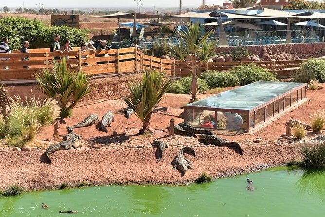 Goat on trees & Crocodile Park Including Tickets and Hotel Pickup - In-Depth Look at the Itinerary