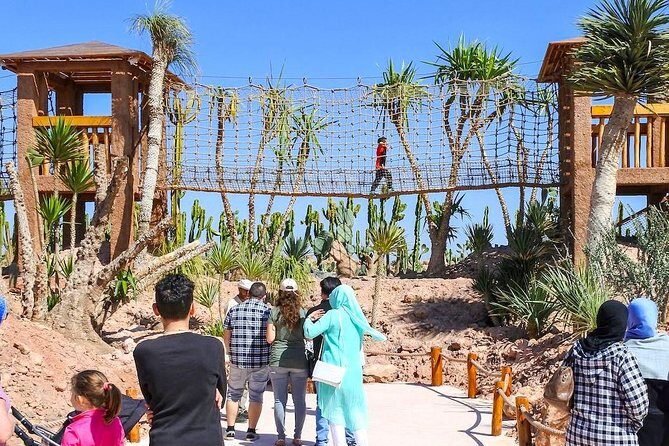 Goat on trees & Crocodile Park Including Tickets and Hotel Pickup - The Sum Up