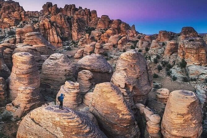 Gobi tour Mongolia 7 Days - What Travelers Say About This Tour