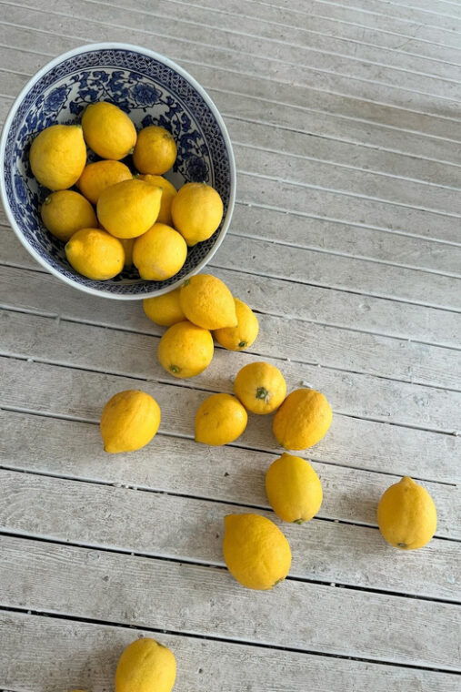 gocek-authentic-turkish-kebabs-grilled-to-perfection