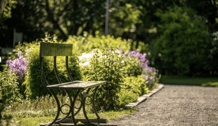 godafoss-express-classy-round-trip-multiple-drop-off-choice