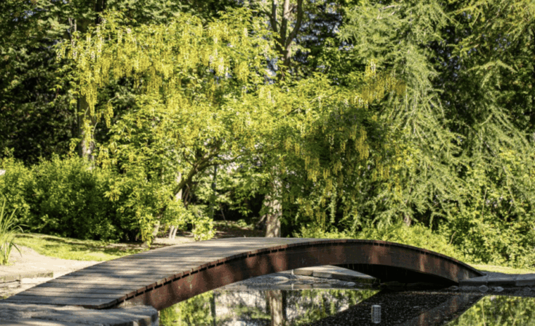 godafoss-express-classy-round-trip-multiple-drop-off-choice