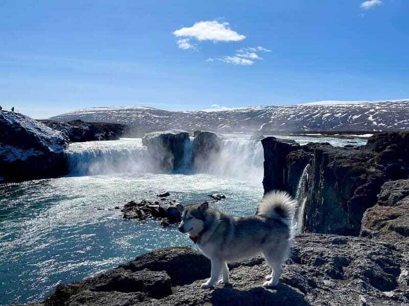 Godafoss, Laufás Museum & Akureyri Highlights Tour - Key Points