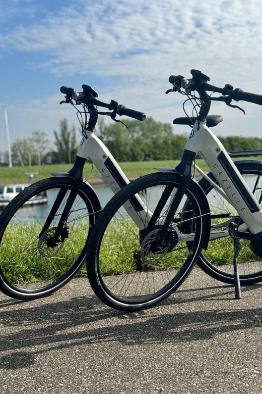 goes-full-day-e-bike-rental