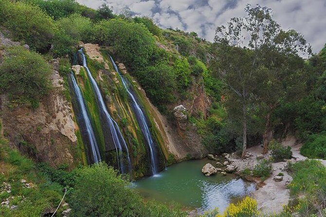 GoKEDEM Golan Heights ATV Action & Wine-Tasting Tour From Tel Aviv - Key Points