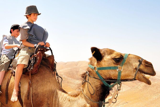 GoKEDEM Masada, DeadSea Camel Ride & Beduin Feast Tour From Tel Aviv - Why You Might Want to Join This Tour