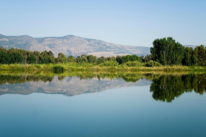 Golan Heights Day Trip from Tel Aviv - A Closer Look at the Golan Heights Day Trip