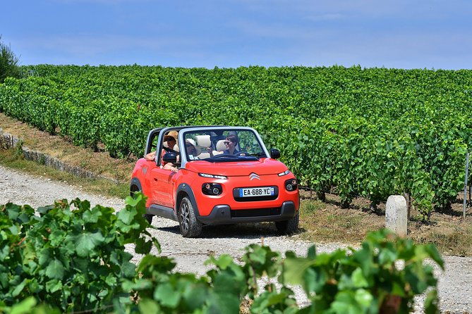 gold-champagne-experience-from-epernay-private-full-day-tour