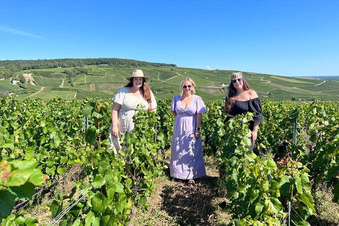 gold-champagne-experience-from-reims-private-full-day-tour