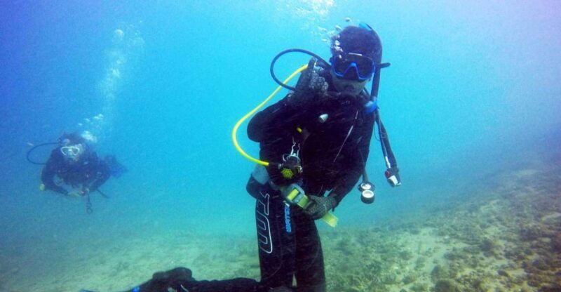 Gold Coast: 3-Day PADI Open Water Course - Key Points