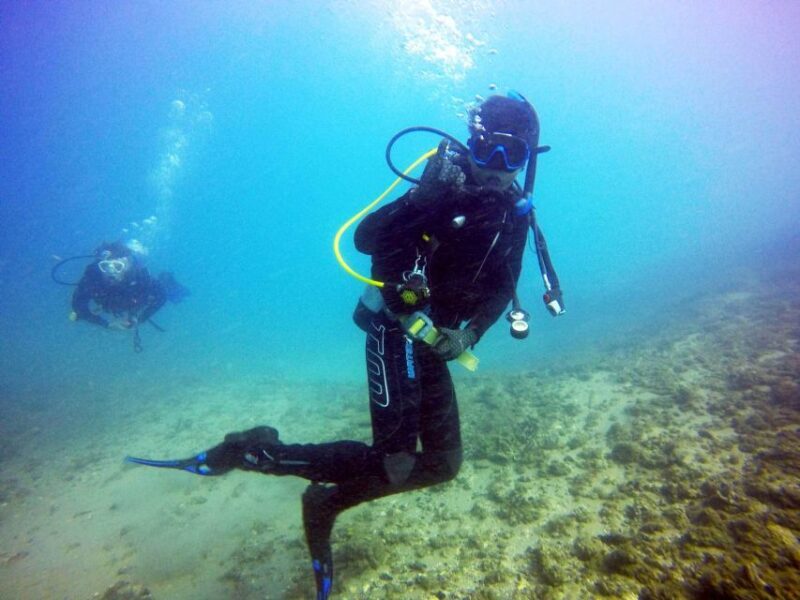 Gold Coast: 3-Day PADI Open Water Course - Practical Details and Considerations