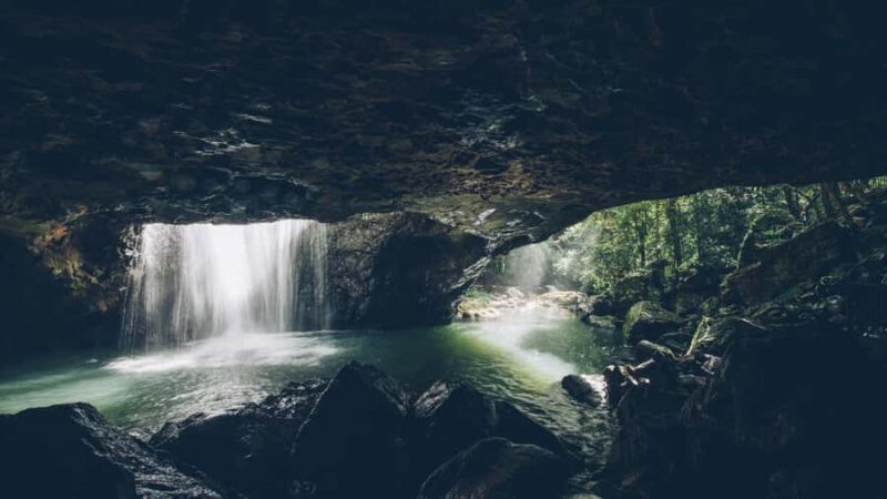 Gold Coast: 6 Waterfalls, Koalas & Natural Bridge Day Tour - Scenic Lookouts: Canyon and Natural Bridge