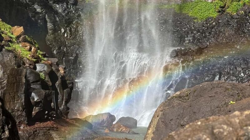 Gold Coast: 6 Waterfalls, Koalas & Natural Bridge Day Tour - A Relaxed Picnic and Eco-Friendly Impact