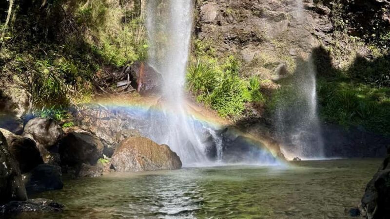 Gold Coast: 6 Waterfalls, Koalas & Natural Bridge Day Tour - Additional Details and Practical Insights