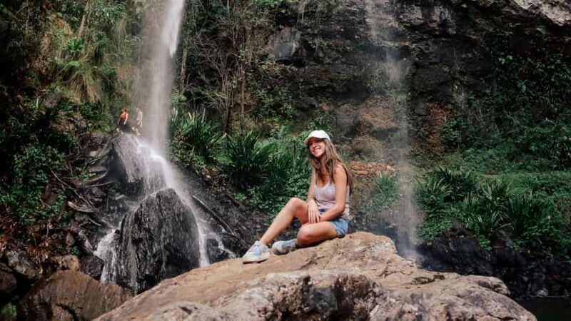 Gold Coast: 6 Waterfalls, Koalas & Natural Bridge Day Tour - Why This Tour Stands Out