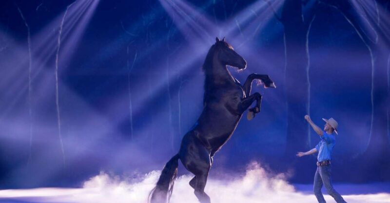 Gold Coast: Australian Outback Spectacular Dinner & Show - The Value Proposition