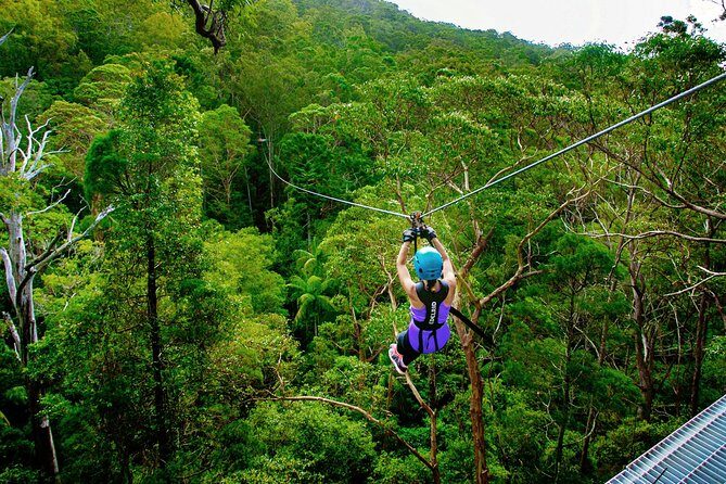 Gold Coast Canyon Flyer Zipline Tour - What to Expect from the Canyon Flyer Zipline Tour