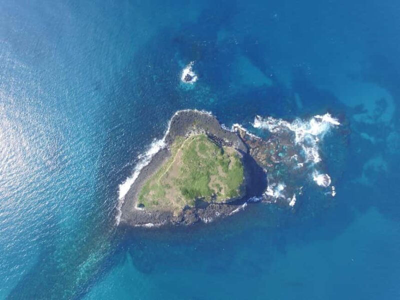 Gold Coast: Cook Island Marine Reserve Scuba Experience Dive - Why This Tour Is Worth Considering
