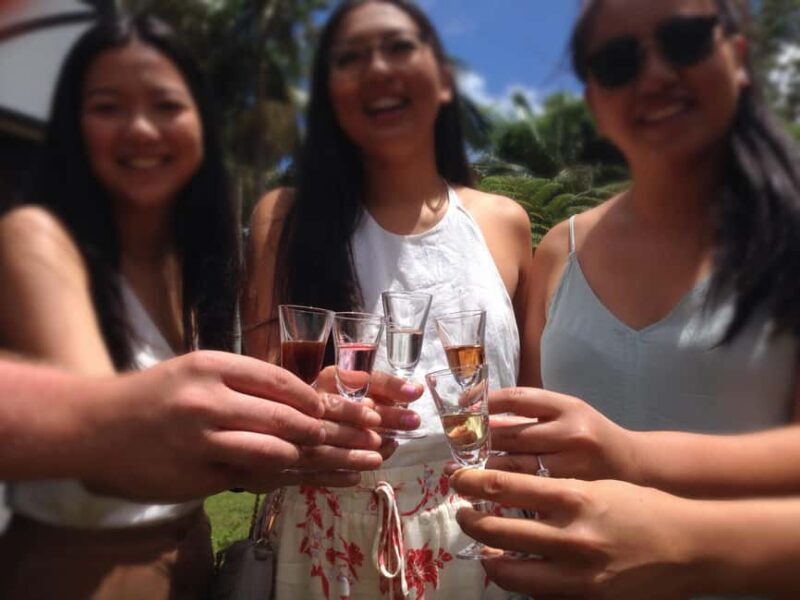 Gold Coast Departure : Explore Tamborine Mountain Day Tour - Who Would Love This Tour?