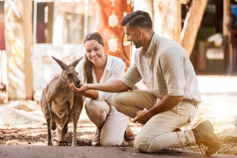 Gold Coast: Dreamworld 1-Day Entry Ticket - The Water and Seasonal Offerings