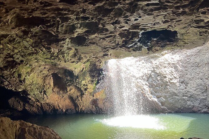 Gold Coast Fun Tour - Whats Included and Whats Not?