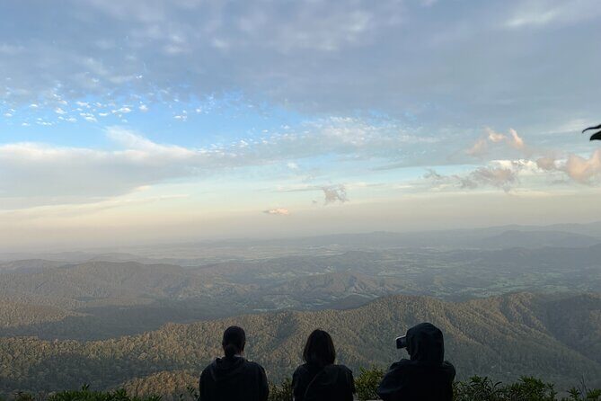 Gold Coast Fun Tour - Who Is This Tour Best For?