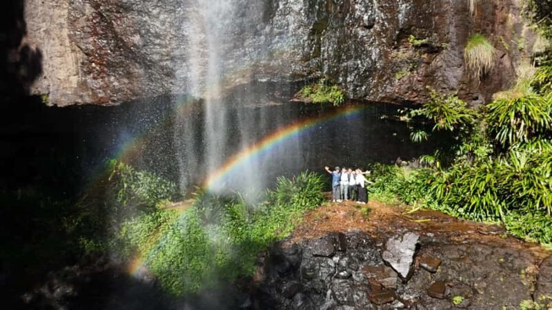 Gold Coast: Glow Worms Day/Night Rainforest & Waterfall Walk - Transportation, Duration, and Group Size