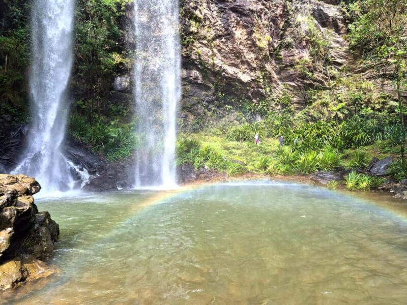 Gold Coast: Glow Worms Day/Night Rainforest & Waterfall Walk - Pricing and Value for Money