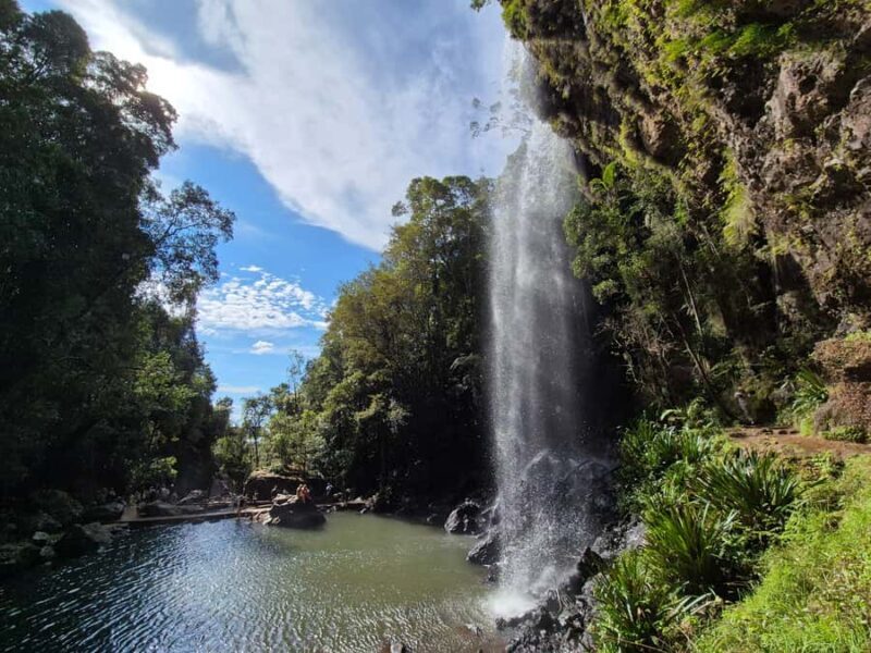 Gold Coast: Glow Worms Day/Night Rainforest & Waterfall Walk - Who Should Consider This Tour