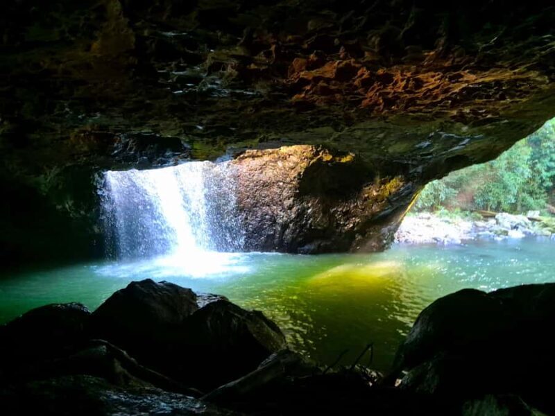 Gold Coast: Glow Worms Day/Night Rainforest & Waterfall Walk - FAQs