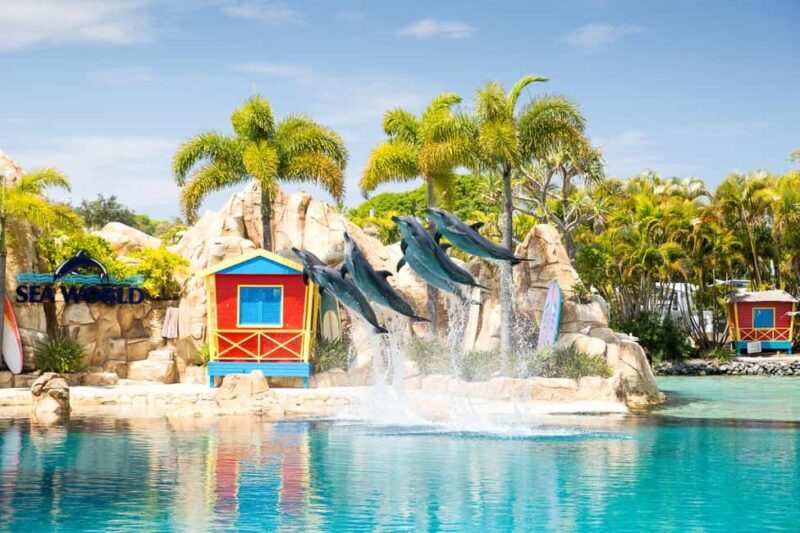 Gold Coast: Hopo Ferry & Sea World Entry Combo Ticket - Frequently Asked Questions