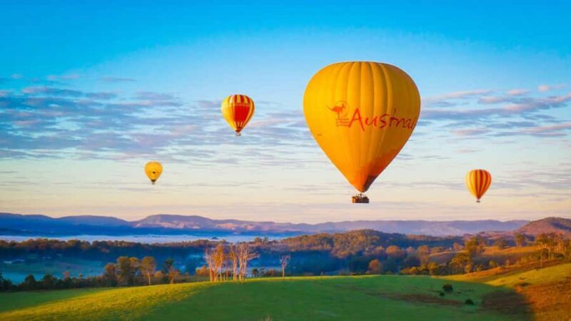 Gold Coast: Hot Air Balloon Flight+Vineyard Breakfast+Alpaca - First Impressions: What to Expect from This Tour