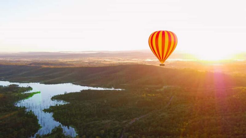 Gold Coast: Hot Air Balloon Flight+Vineyard Breakfast+Alpaca - Alpaca Encounters: A Gentle Animal Experience
