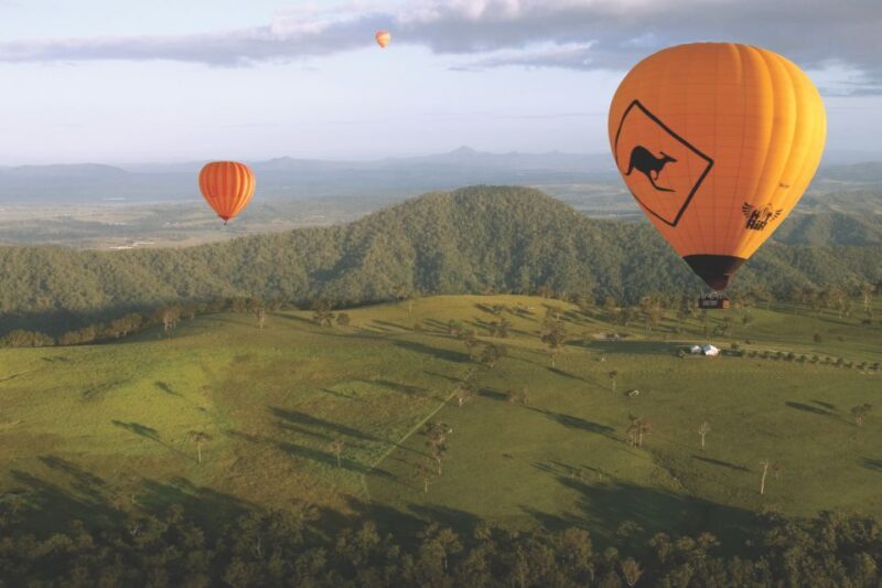 Gold Coast: Hot Air Balloon Flight+Vineyard Breakfast+Alpaca - Practical Details: Transportation, Duration, and Cost