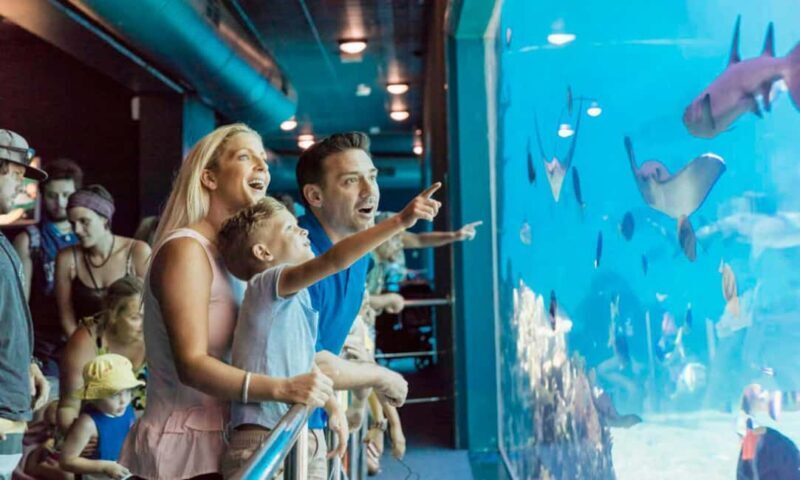 Gold Coast: Jet Boat Ride & Sea World Entry Ticket - The Unique Charm of Combining Water Thrills and Marine Exploration