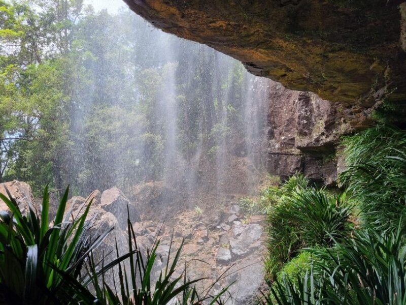 Gold Coast: Kangaroos, Rainforest & Waterfalls Experience - Final Thoughts
