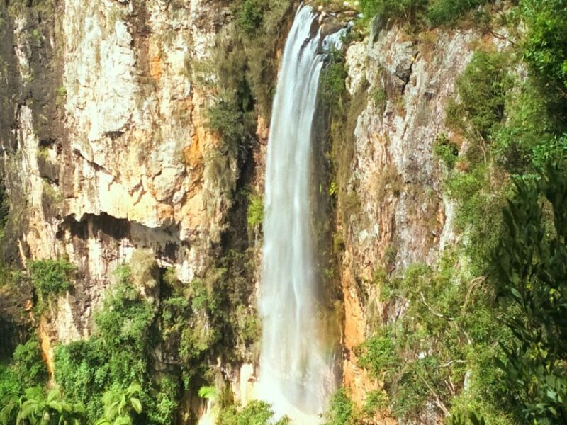 Gold Coast: Kangaroos, Rainforest & Waterfalls Experience - FAQ
