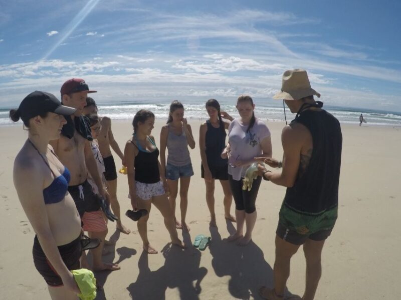 Gold Coast: Kayaking and Snorkeling Guided Tour - Why This Tour Offers Great Value